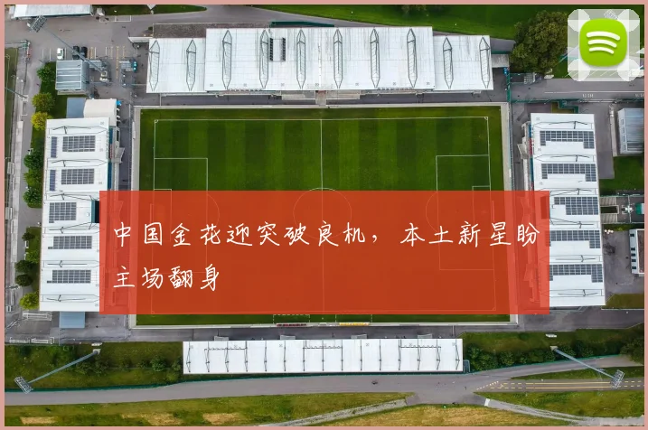 中国金花迎突破良机，本土新星盼主场翻身
