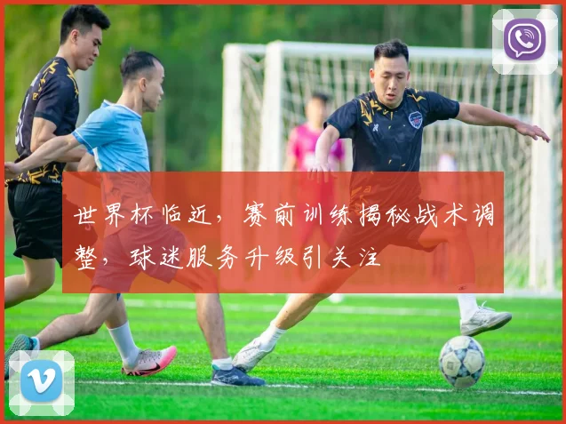世界杯临近，赛前训练揭秘战术调整，球迷服务升级引关注